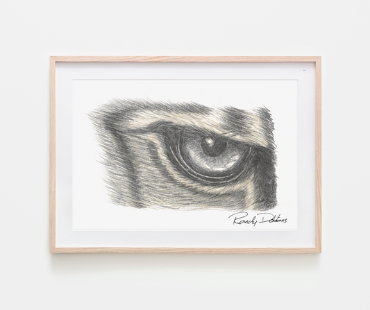 Eye of the Tiger: Stunning Graphite Print – An Artistic Adventure Unleashed