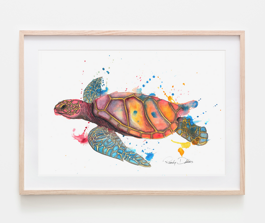 "Honu Paʻa" Sea Turtle Watercolor Print